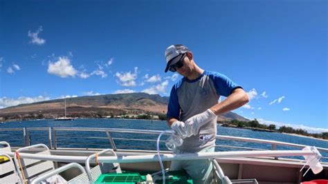 UH scientists fill Maui water quality information void with free testing